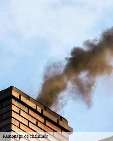 Ramonage de cheminée 10 Aube  CB toiture