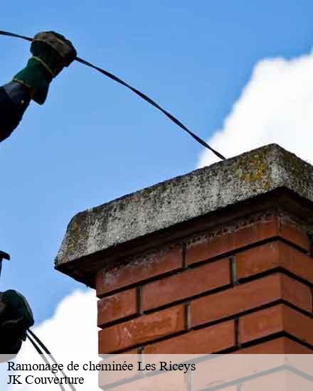 Ramonage de cheminée  les-riceys-10340 JK Couverture