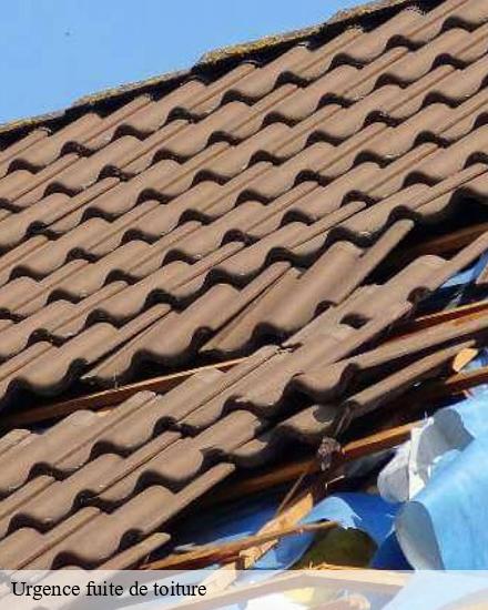 Urgence fuite de toiture 10 Aube  Falck Ewing couvreur 10