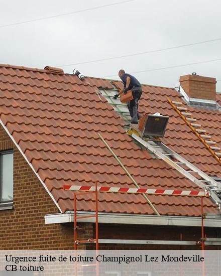 Urgence fuite de toiture  champignol-lez-mondeville-10200 Falck Ewing couvreur 10