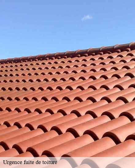 Urgence fuite de toiture  eaux-puiseaux-10130 JK Couverture