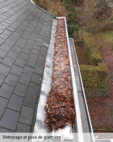 Nettoyage et pose de gouttière  planty-10160 JK Couverture