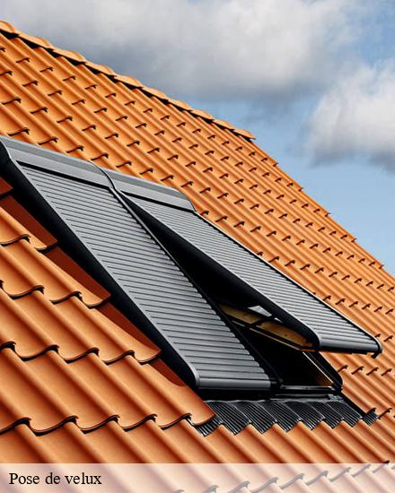 Pose de velux  ailleville-10200 CB toiture