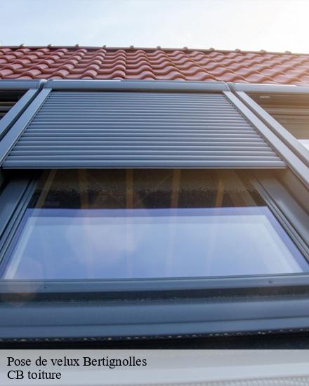 Pose de velux  bertignolles-10110 CB toiture