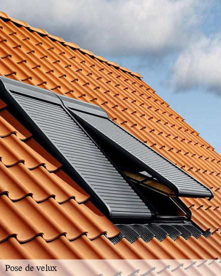 Pose de velux  mesnil-sellieres-10220 CB toiture