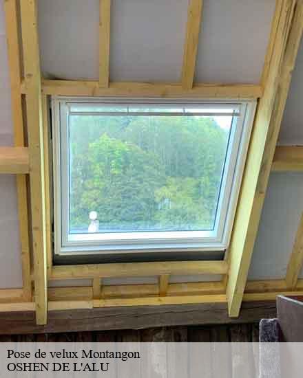 Pose de velux  montangon-10220 OSHEN DE L'ALU