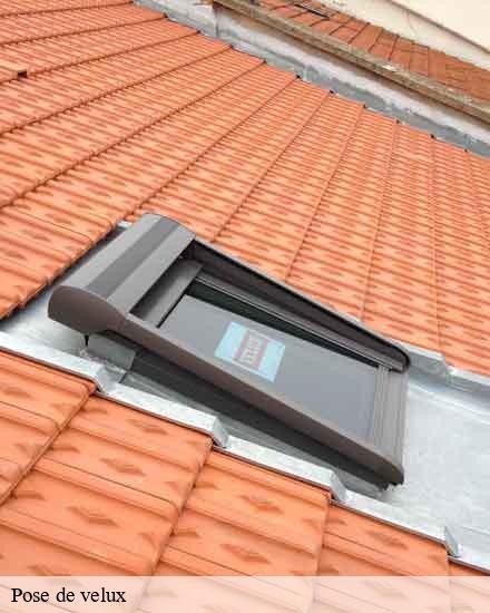 Pose de velux  pont-sainte-marie-10150 JK Couverture
