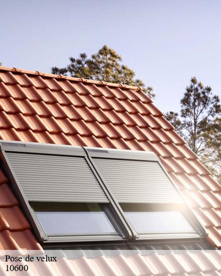 Pose de velux  barberey-aux-moines-10600 CB toiture