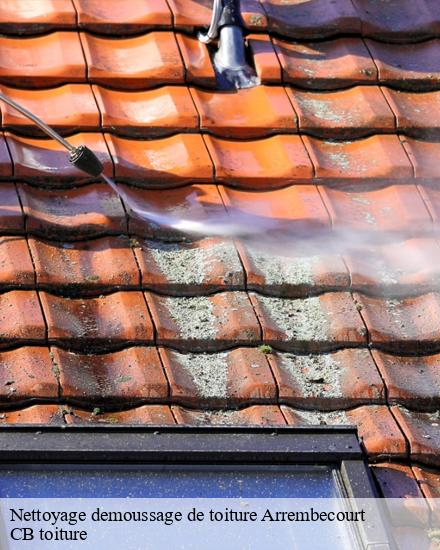 Nettoyage demoussage de toiture  arrembecourt-10330 CB toiture
