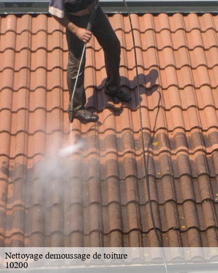 Nettoyage demoussage de toiture  arrentieres-10200 CB toiture