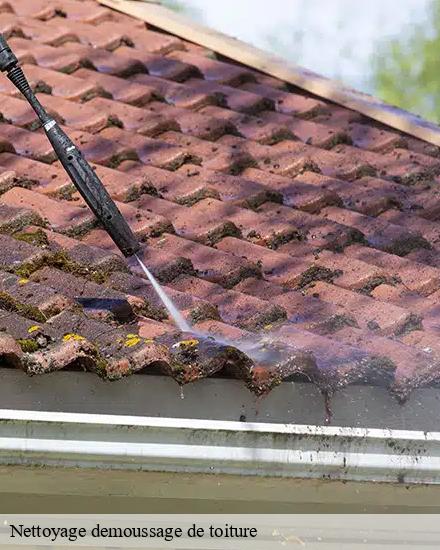 Nettoyage demoussage de toiture  auxon-10130 CB toiture