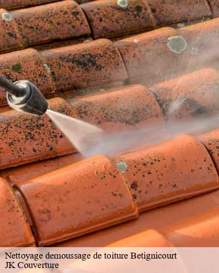Nettoyage demoussage de toiture  betignicourt-10500 JK Couverture
