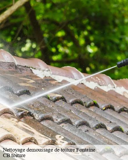 Nettoyage demoussage de toiture  fontaine-10200 Falck Ewing couvreur 10
