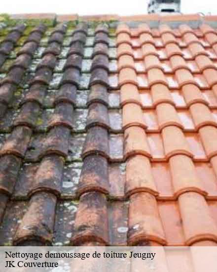 Nettoyage demoussage de toiture  jeugny-10320 JK Couverture