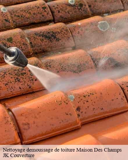 Nettoyage demoussage de toiture  maison-des-champs-10140 JK Couverture