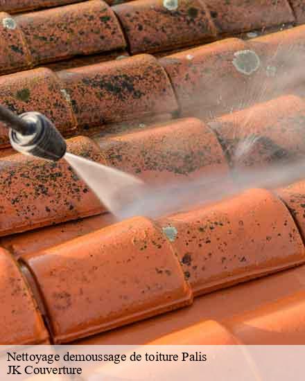 Nettoyage demoussage de toiture  palis-10190 JK Couverture