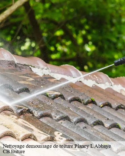Nettoyage demoussage de toiture  plancy-l-abbaye-10380 Falck Ewing couvreur 10