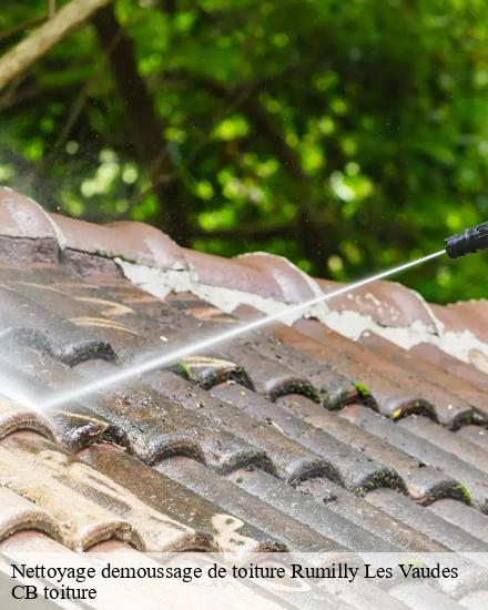 Nettoyage demoussage de toiture  rumilly-les-vaudes-10260 Falck Ewing couvreur 10