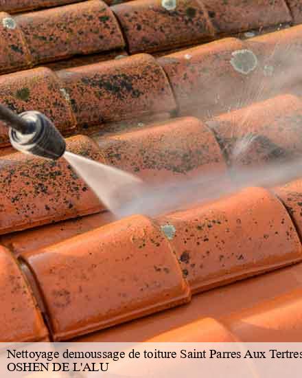 Nettoyage demoussage de toiture saint-parres-aux-tertres-10410 OSHEN DE L'ALU