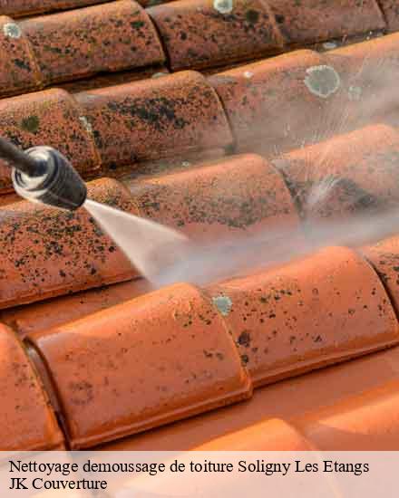 Nettoyage demoussage de toiture  soligny-les-etangs-10400 JK Couverture
