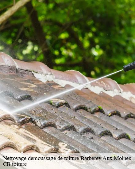 Nettoyage demoussage de toiture  barberey-aux-moines-10600 CB toiture