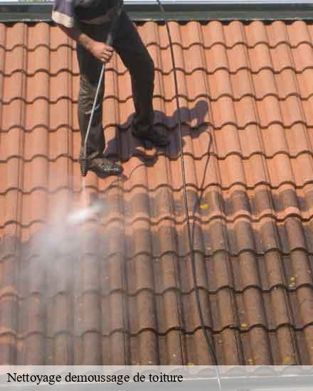 Nettoyage demoussage de toiture la-vallote-10150 OSHEN DE L'ALU