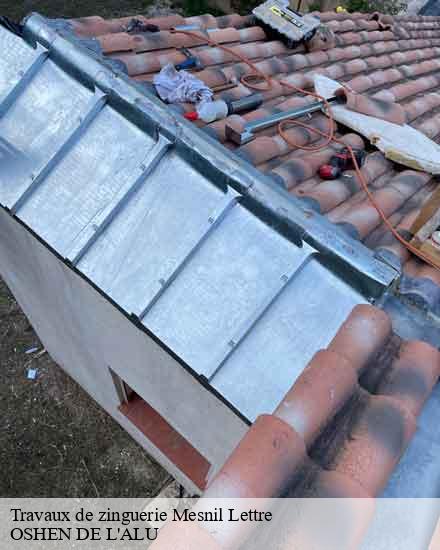 Travaux de zinguerie  mesnil-lettre-10240 OSHEN DE L'ALU
