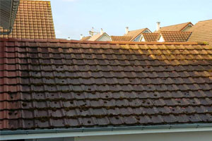 Nettoyage et démoussage de toiture 10